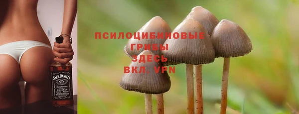 прущий лед Вязники